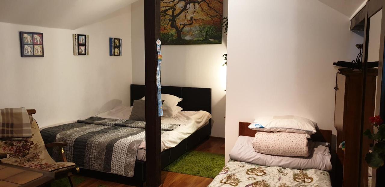 Forest Appartement *
