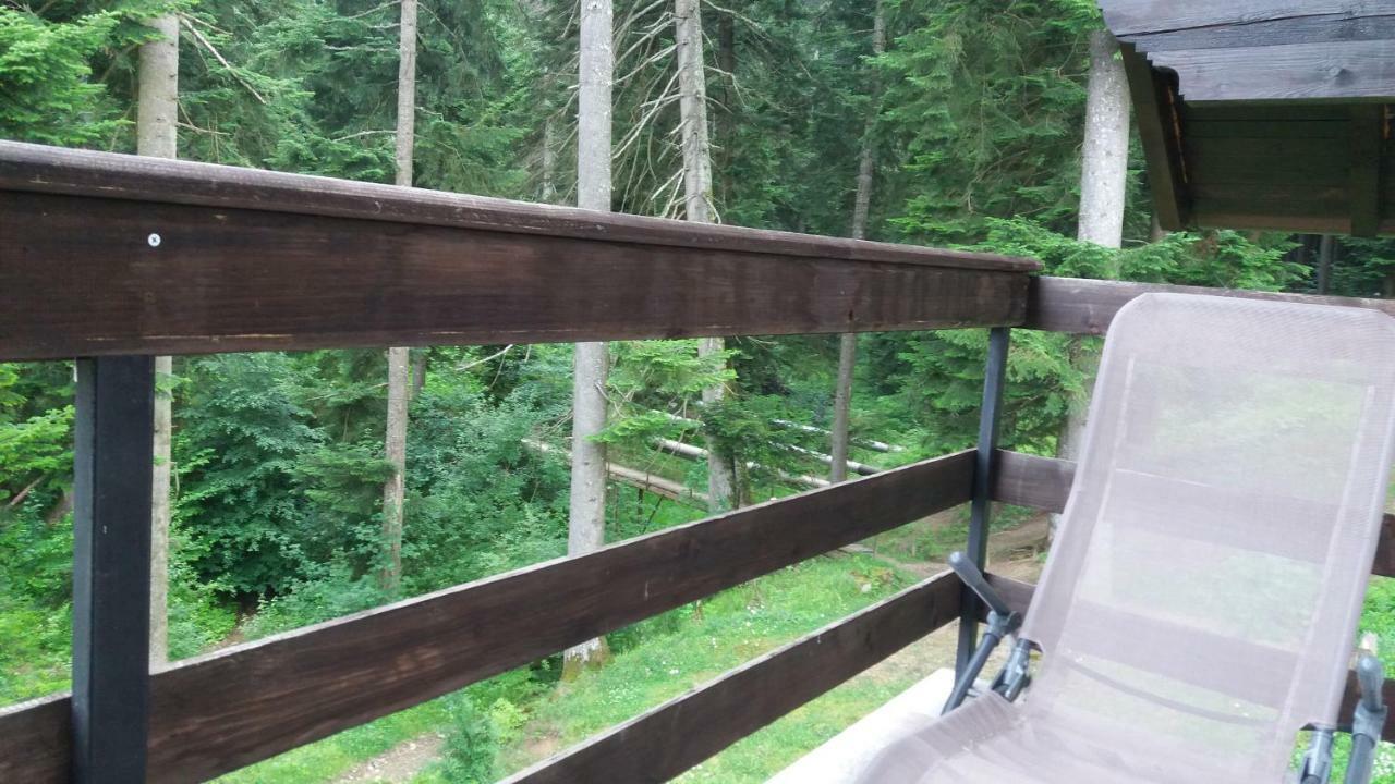 Appartement Forest Buşteni